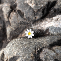 Накрутка Daisy Flower 1.2 мм