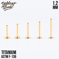 Ножка лабрета для пирсинга Gold 1.2 мм (16 G), основа 4 мм Ножка лабрета для пирсинга Gold 1.2 мм (16 G), основа 4 мм