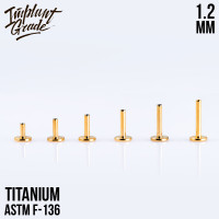 Ножка лабрета для пирсинга Gold 1.2 мм (16 G), основа 4 мм Ножка лабрета для пирсинга Gold 1.2 мм (16 G), основа 4 мм