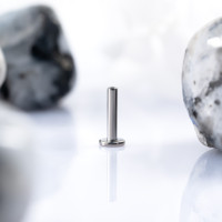 Ножка лабрета для пирсинга 1.6 мм (14 G), основа 4 мм Ножка лабрета для пирсинга 1.6 мм (14 G), основа 4 мм