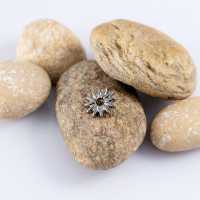 Накрутка Allison 1.2 мм