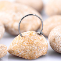 Кольцо для носа Т